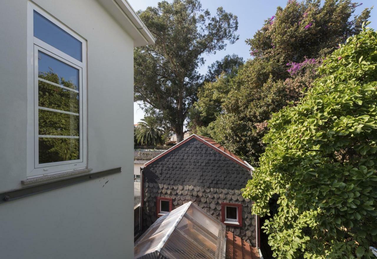 Tripas-Coracao, Breiner Greenhouse Porto Bilik gambar